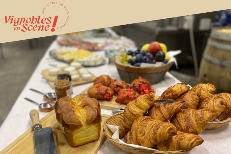 Brunch Vigneron au Domaine Anthony Paret image1