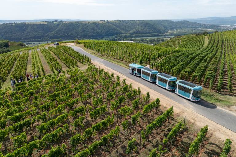 Côte-Rôtie Tour image2