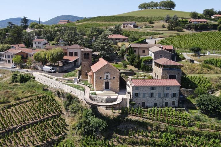 Visite guidée dans le vignoble : Le Rhône et la vigne, une histoire partagée image1