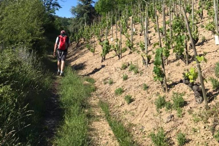 Rando Wine (Cave de Sarras) image1