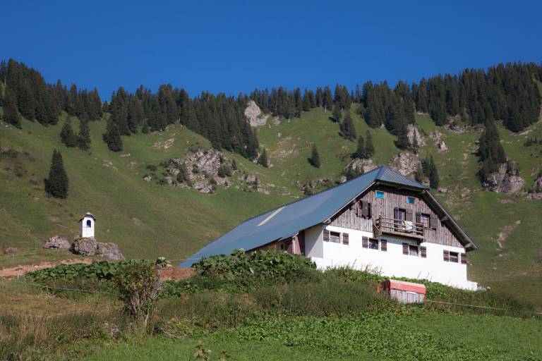 Goûter à l'alpage de Barbossine image1