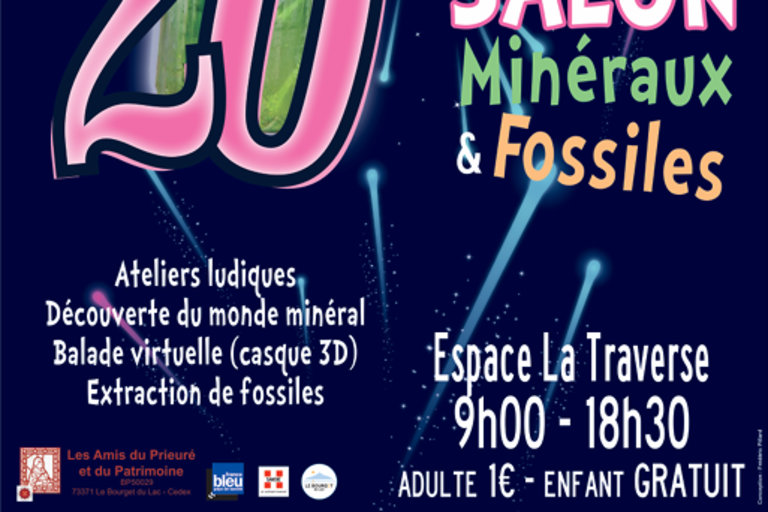 Bourse minéralogique, fossiles et gemmes image1