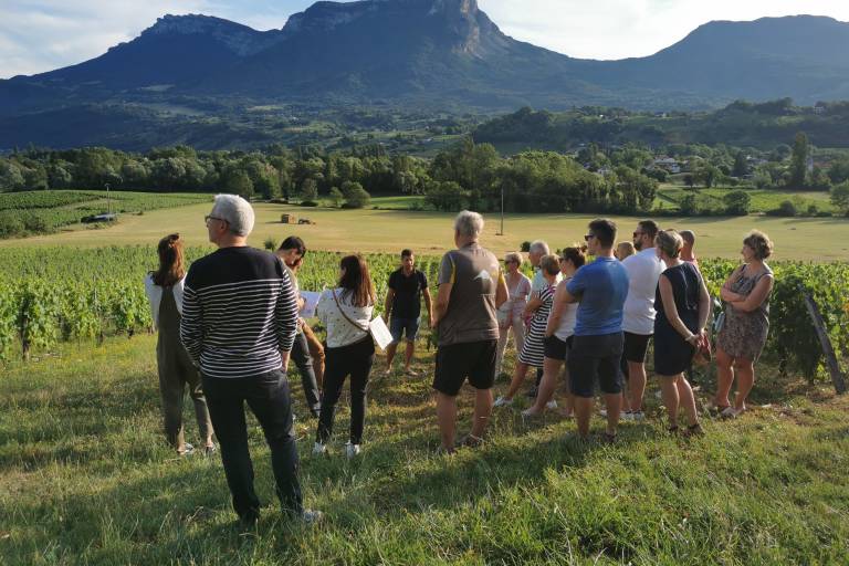 Visite du vignoble et dégustation au Domaine des Granges Longes image1