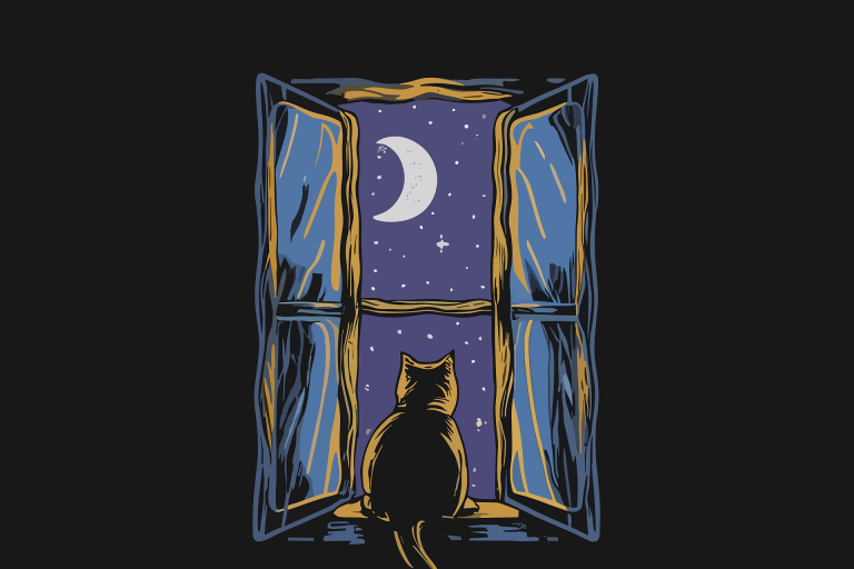 Entre Midi et Science - Quand tombe la nuit : nos peurs prennent-elles le dessus ? image1