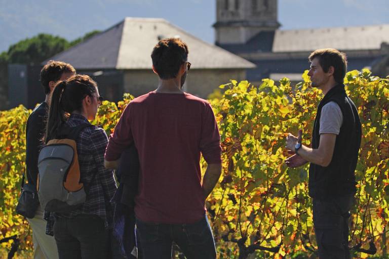 Vignobles en Scène : Animations au Domaine de l'Idylle image1