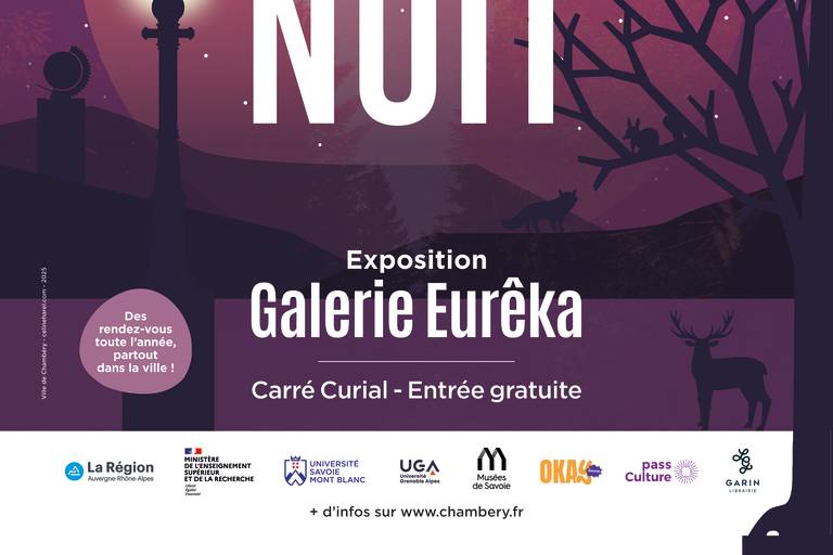 Exposition : Jour sur la nuit image1