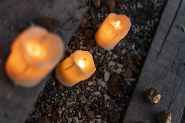 An evening walk around the lake image2