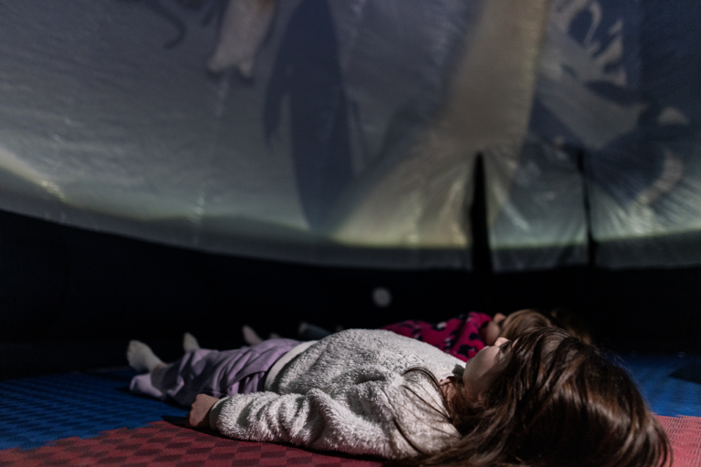 Astronomy workshop for the little ones: immersion in a planetarium image1