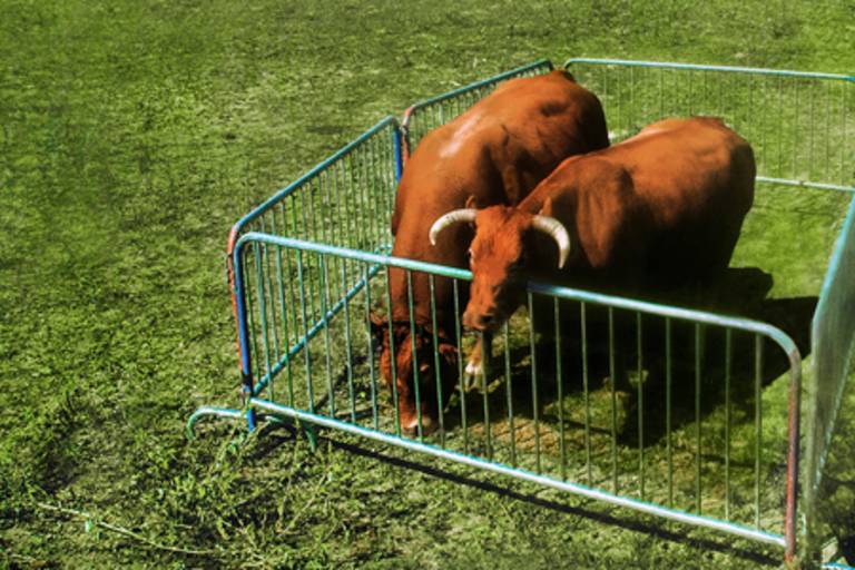 Festival des Insolites - théâtre : "Amalgames" par la Cie Singulière image1