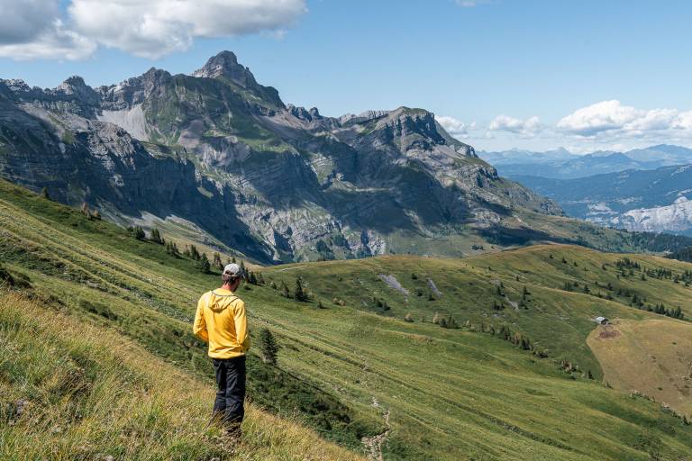 Quand les hommes et les animaux s’harmonisent en montagne image1