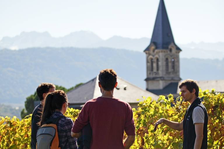 Vignobles en scène : Visite et dégustation au domaine de l'Idylle image1
