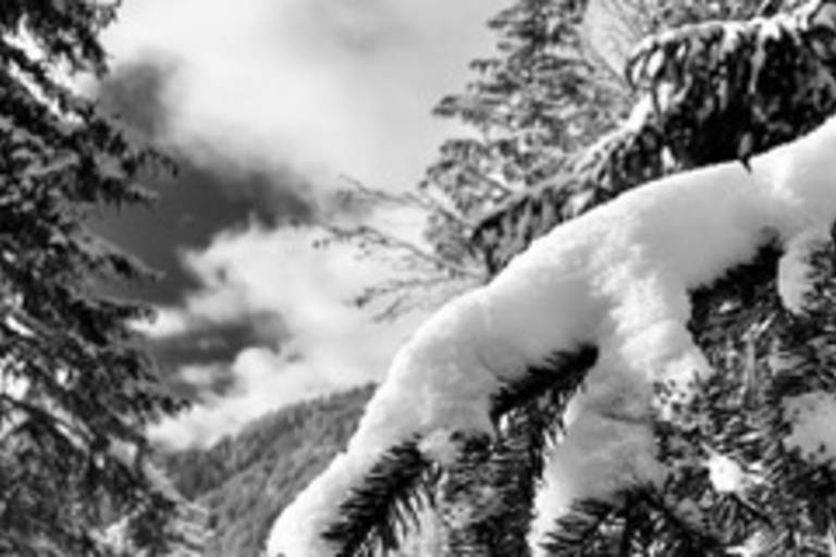 Balade découverte de la nature et création d'un roll-on spécial skieurs image1