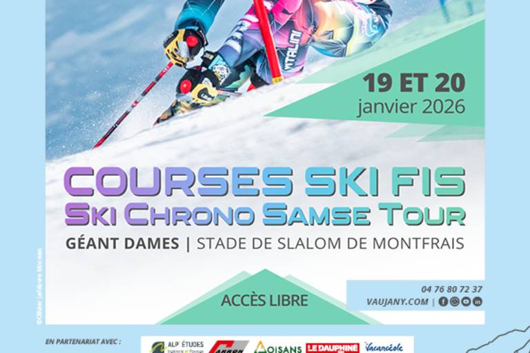 Ski races - Ladies Slalom image1