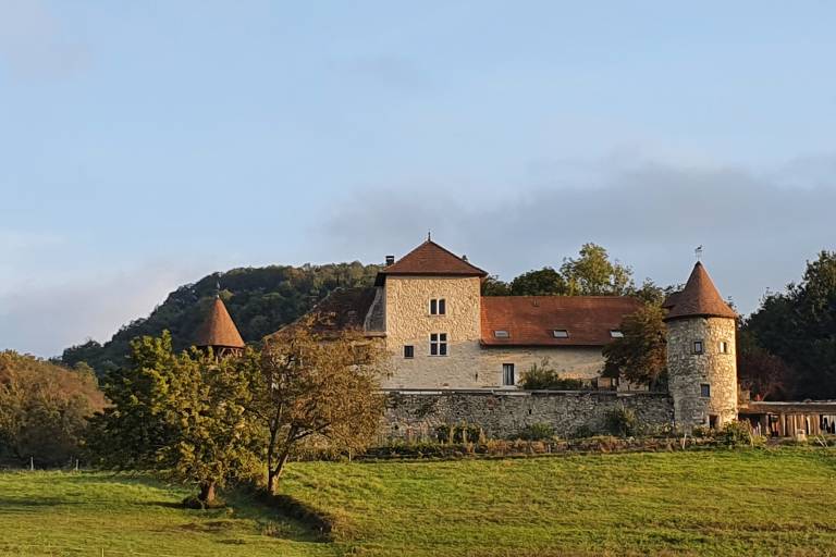 VISITES GUIDEES image1