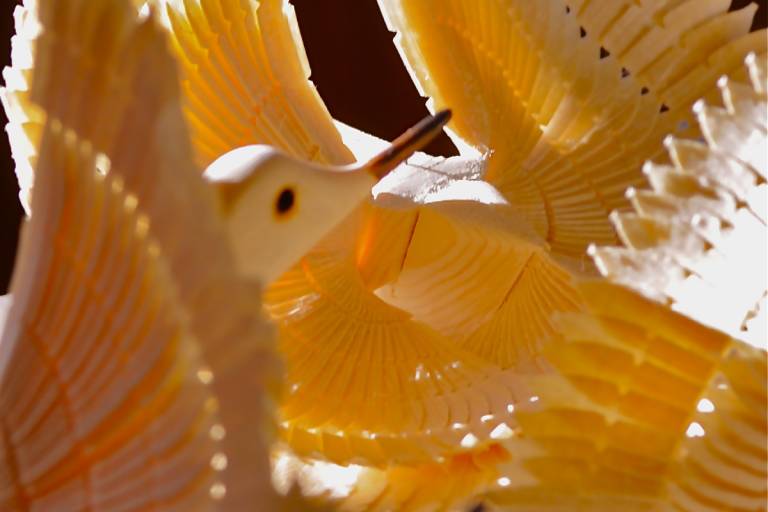 La colombe de la vallée d'Abondance image1