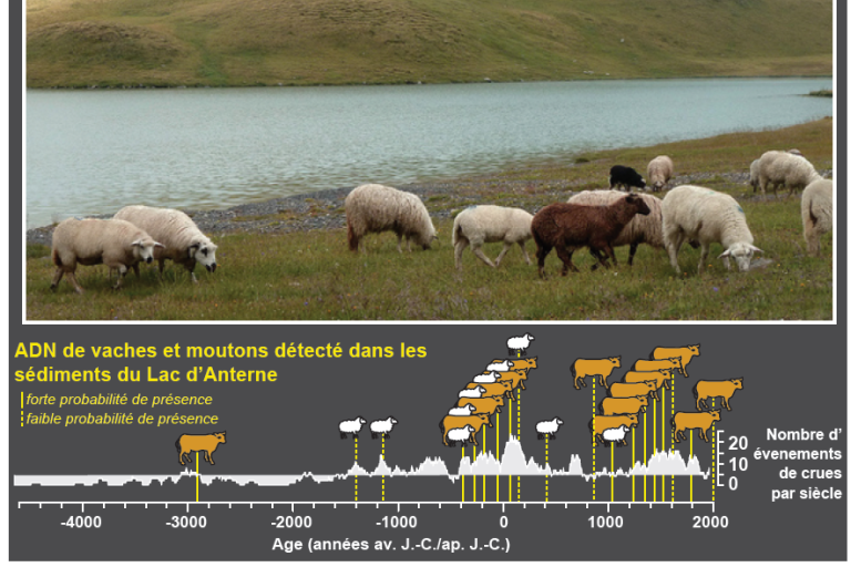 Lecture "Journey to the heart of the lakes and mud in search of the origins of Alpine farmers" image1