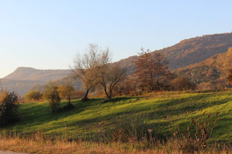 Marche de l'espoir Téléthon 2025 image1