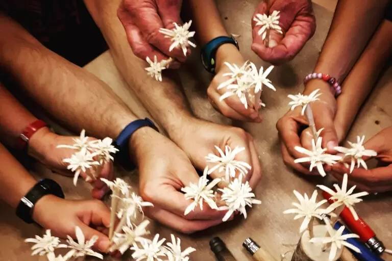 ‘Cut your edelweiss’  - Vox Alpina image1