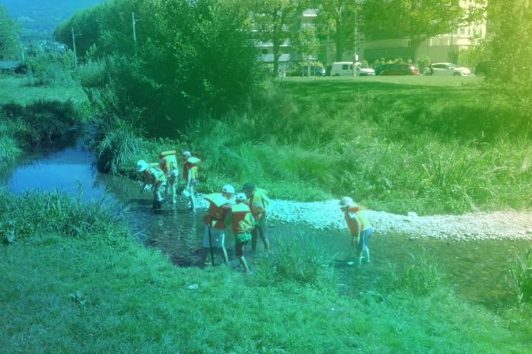 Ateliers du lac image2