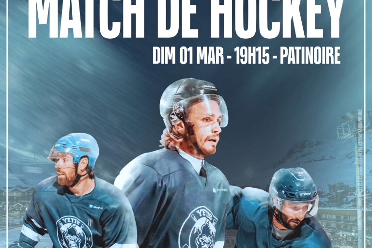 Match de hockey sur glace image1