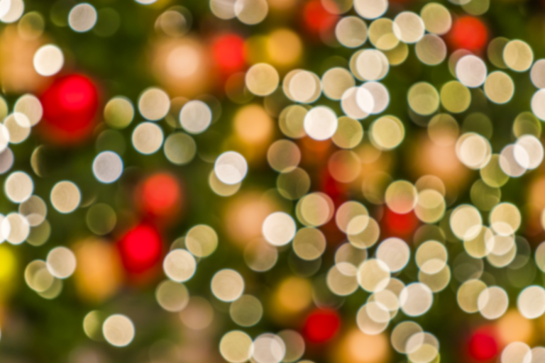 [Noël à Aubenas] : La forêt enchantée image1