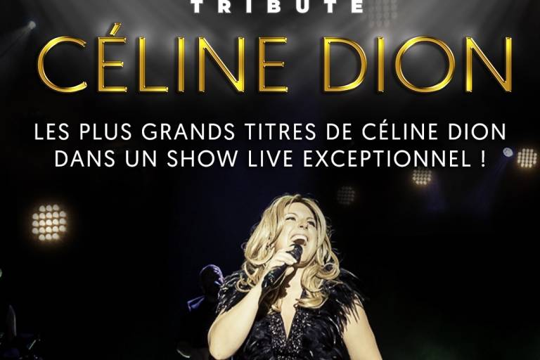 Destin - Tribute Céline Dion image1