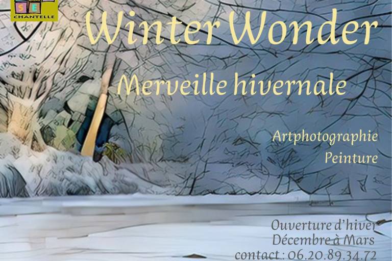 WINTER WONDER - Merveille hivernale image1