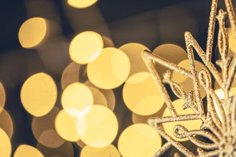 New Year's concert image1