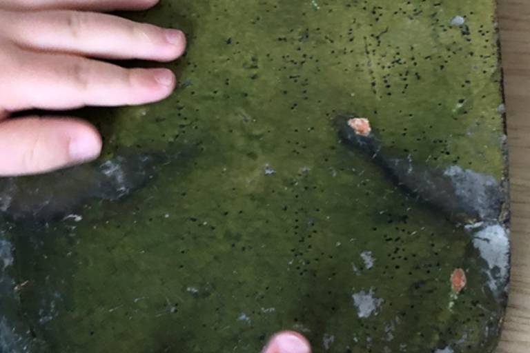 Visite pour les familles : "Les petits explorateurs : Découverte sensorielle du Château" image1