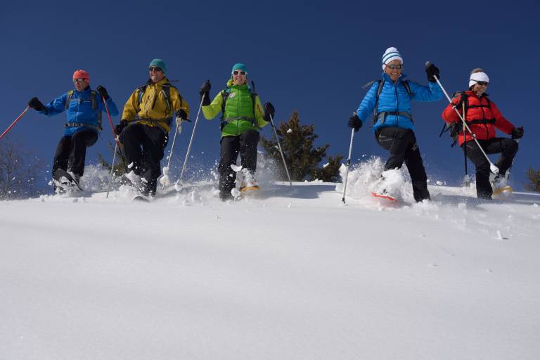 Fête de la raquette image1