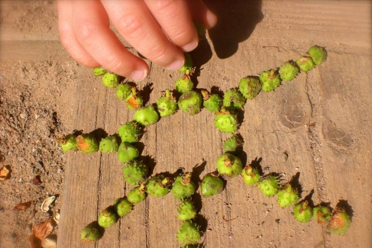 Land'Art d'hiver image1