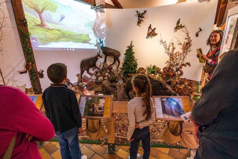 Jeu de piste au Musée image1
