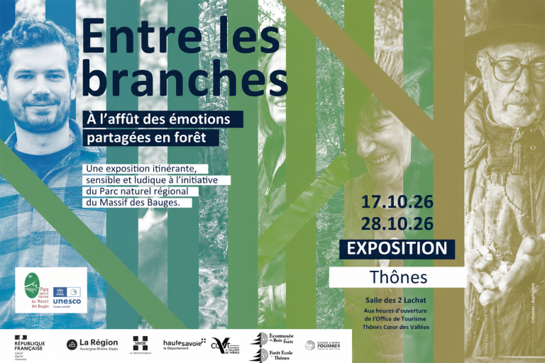 Exposition "Entre les branches" image1