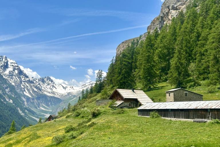 Déjeuners  La Ferme Colorée au Refuge de la Pousterle image1
