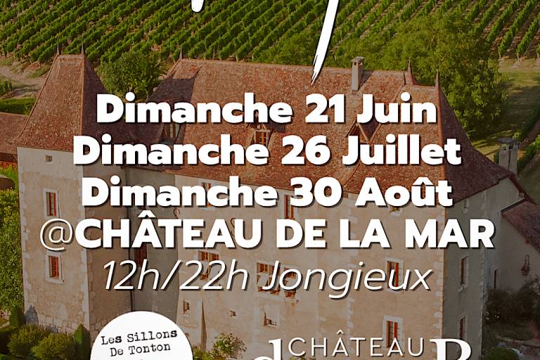 VIN'YL au Château de la Mar • Édition d'août image1