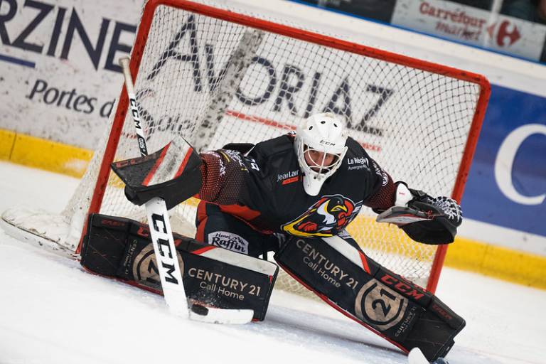 Match d'exhibition de Hockey sur glace image1