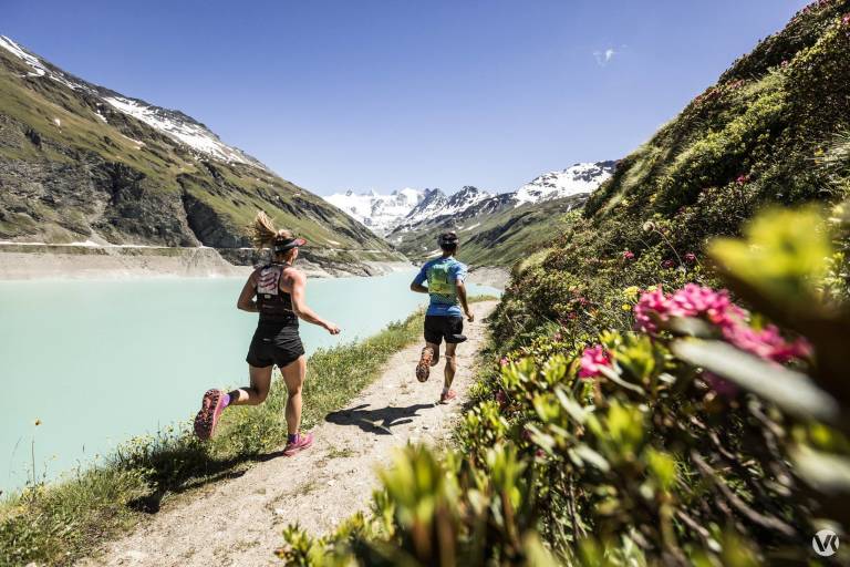 Swiss Peaks Trail image1