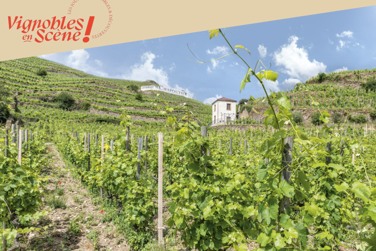 Découverte du vignoble en vélo à assistance électrique - Maison M. CHAPOUTIER image1