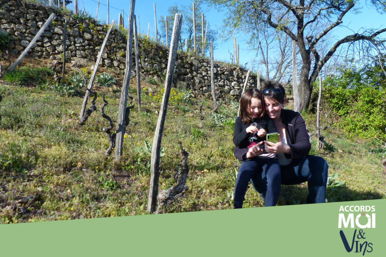 Chasse au trésor : Pépin et les origines de la Syrah image1