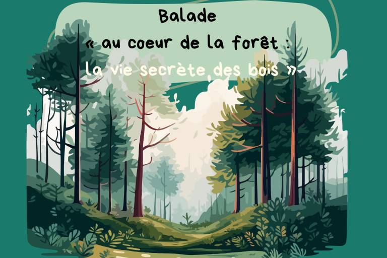 Balade "au coeur de la forêt : la vie secrète des bois" image1