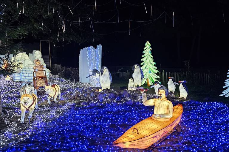 6ème Festival Lumières Sauvages image2