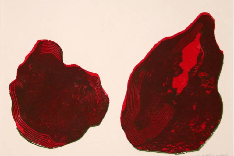 Exposition : Coupé, oublié, enchanté image1