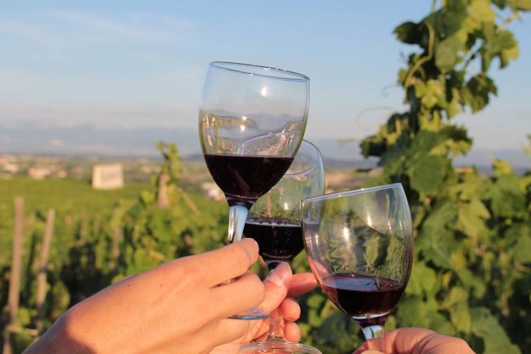 Apéro-vignes au domaine de Gouye image1