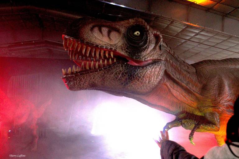 Dinosaures: Le Voyage de Bumpy® image2