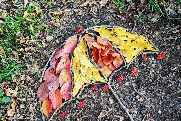 Atelier Land Art Nature image1