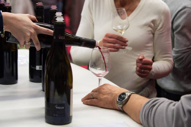 Marché aux vins d'Ampuis image1