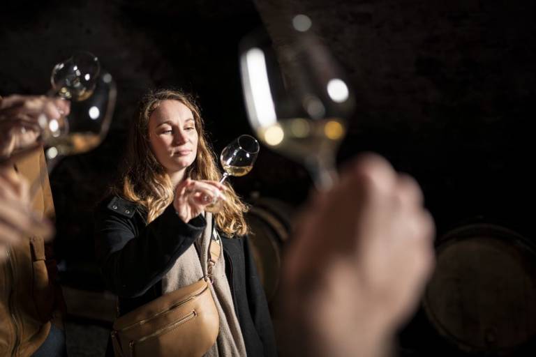 Culture et Vins au Domaine Anthony Paret image1