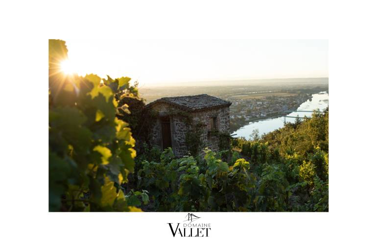 Domaine Vallet image1