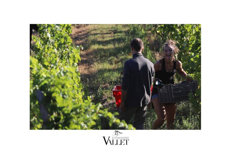 Domaine Vallet image2