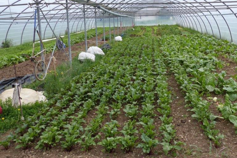 Les jardins de Soly image2